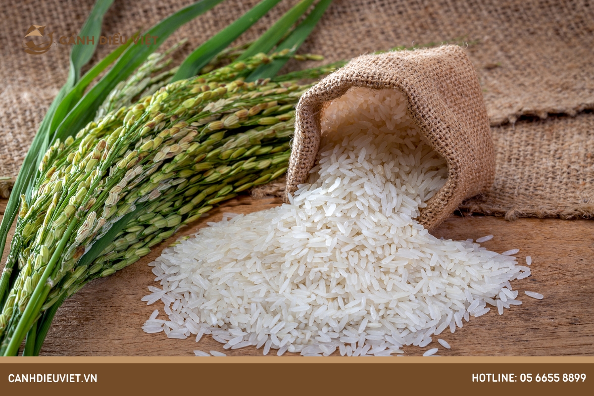 Giá lúa gạo hôm nay