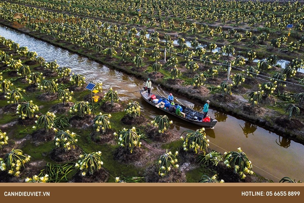 Vùng trồng cây ăn quả lớn nhất nước ta là vùng nào