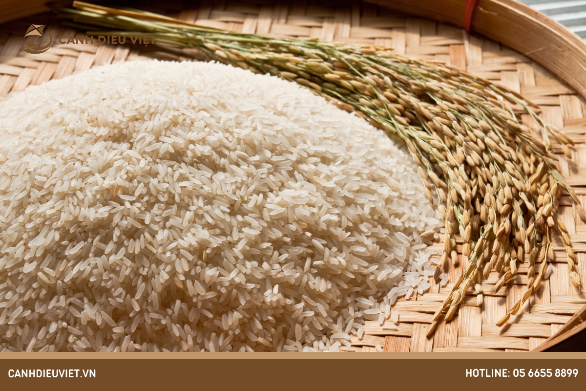 Yếu tố ảnh hưởng đến giá gạo