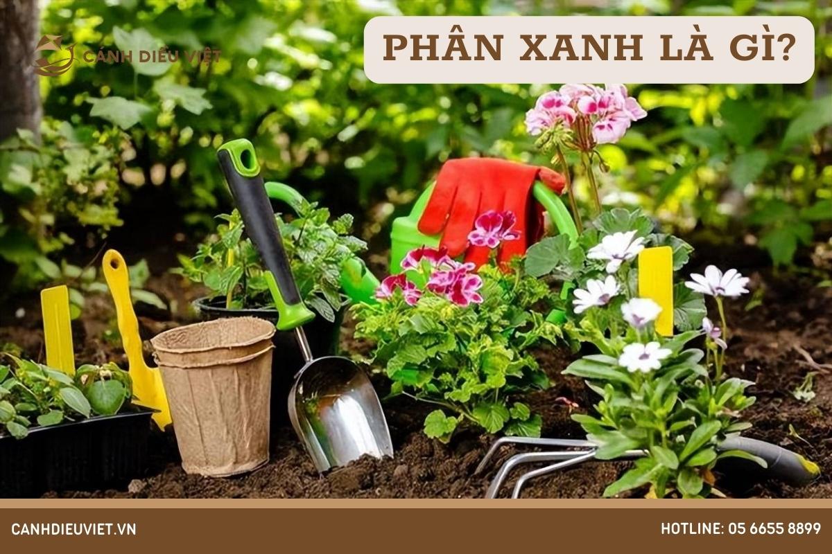 Phân Xanh Là Gì_ Cách bón phân cho cây hiệu quả