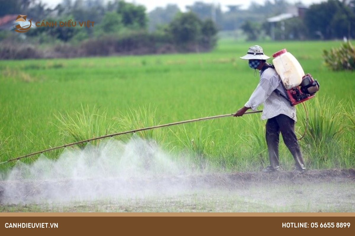 các biện pháp phòng trừ sâu bệnh hại