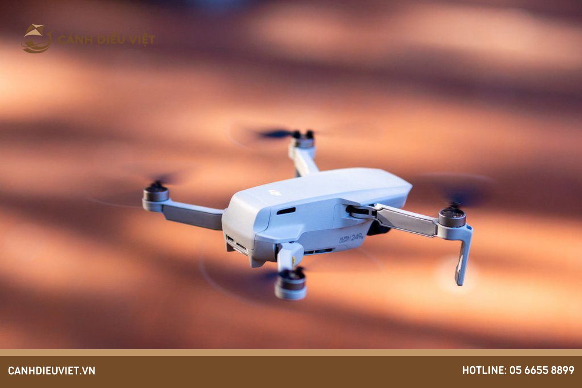 Các loại FPV Drone và mục đích sử dụng