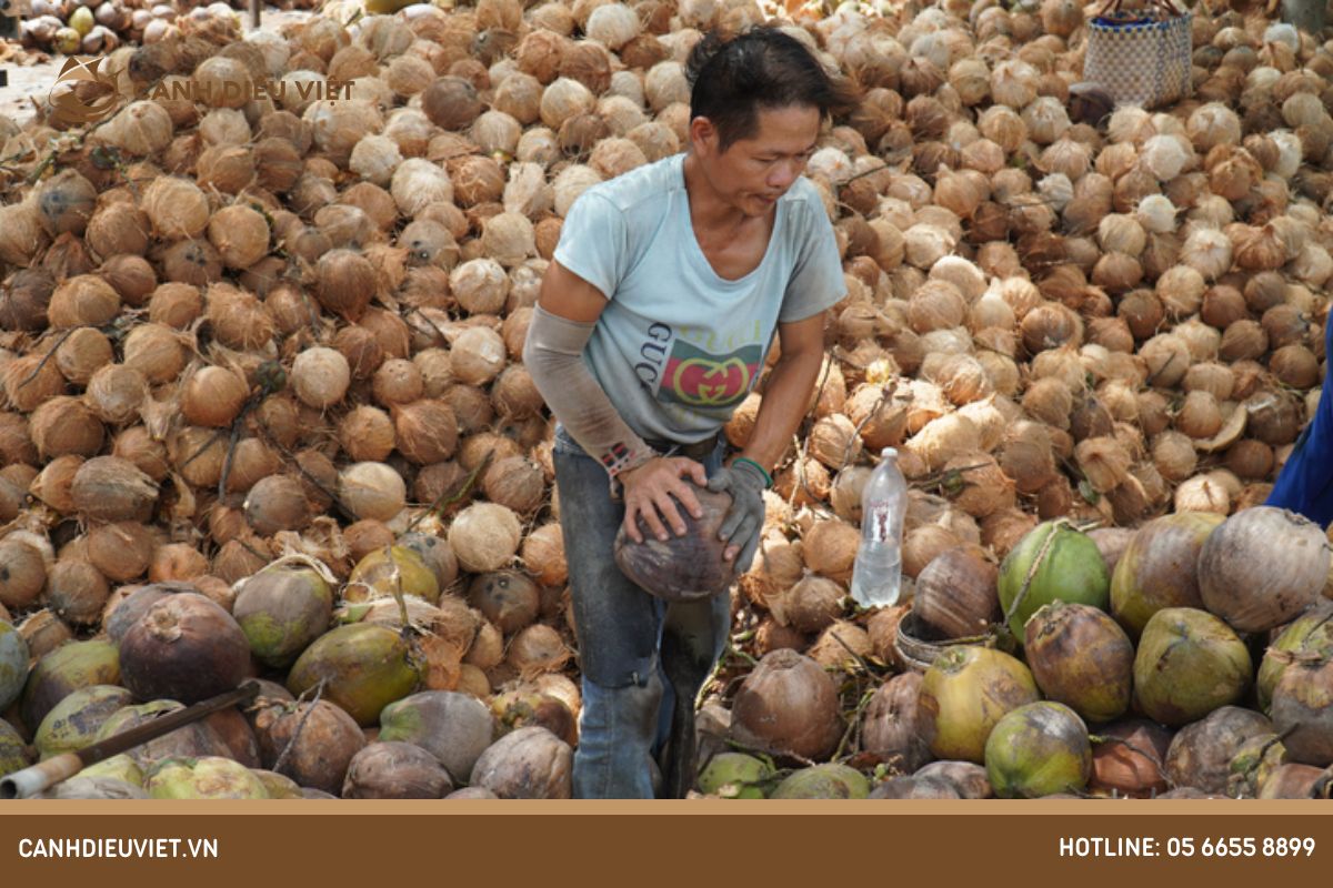 Giá trị dinh dưỡng của dừa khô