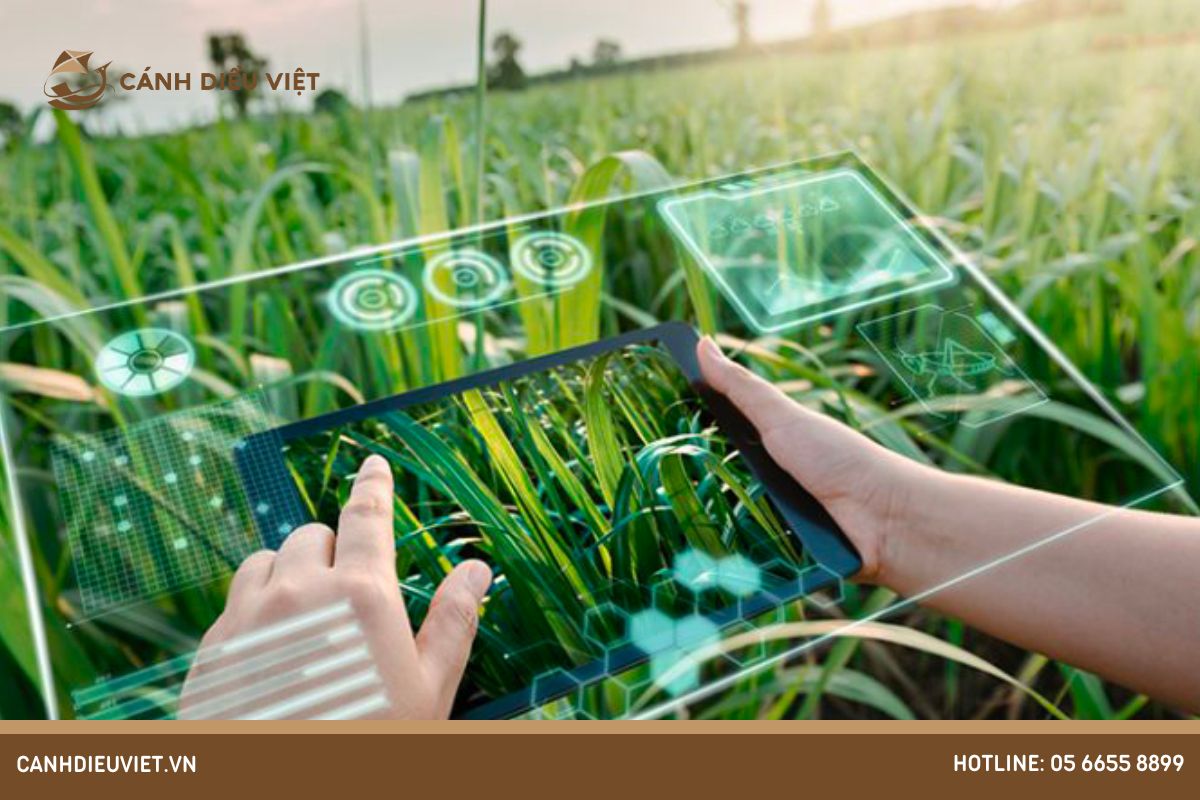 Ứng dụng của IoT trong nông nghiệp thông minh