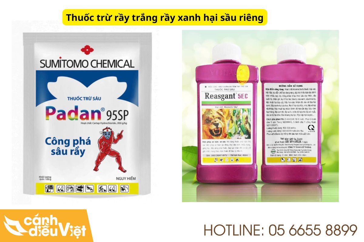 thuốc trị rầy xanh hại sầu riêng​