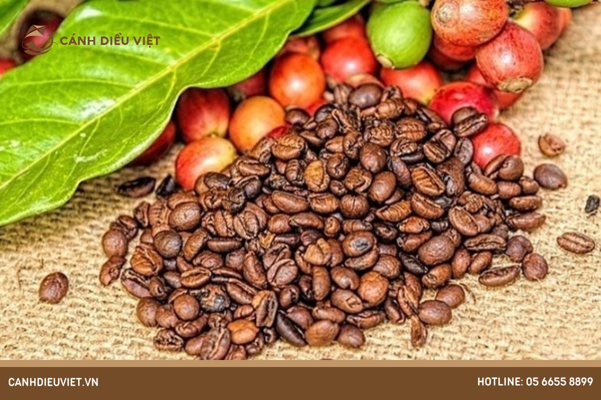 Trồng cây cà phê hữu cơ là gì