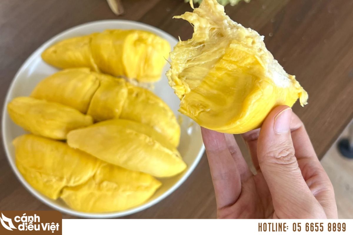 Sầu riêng Musang King