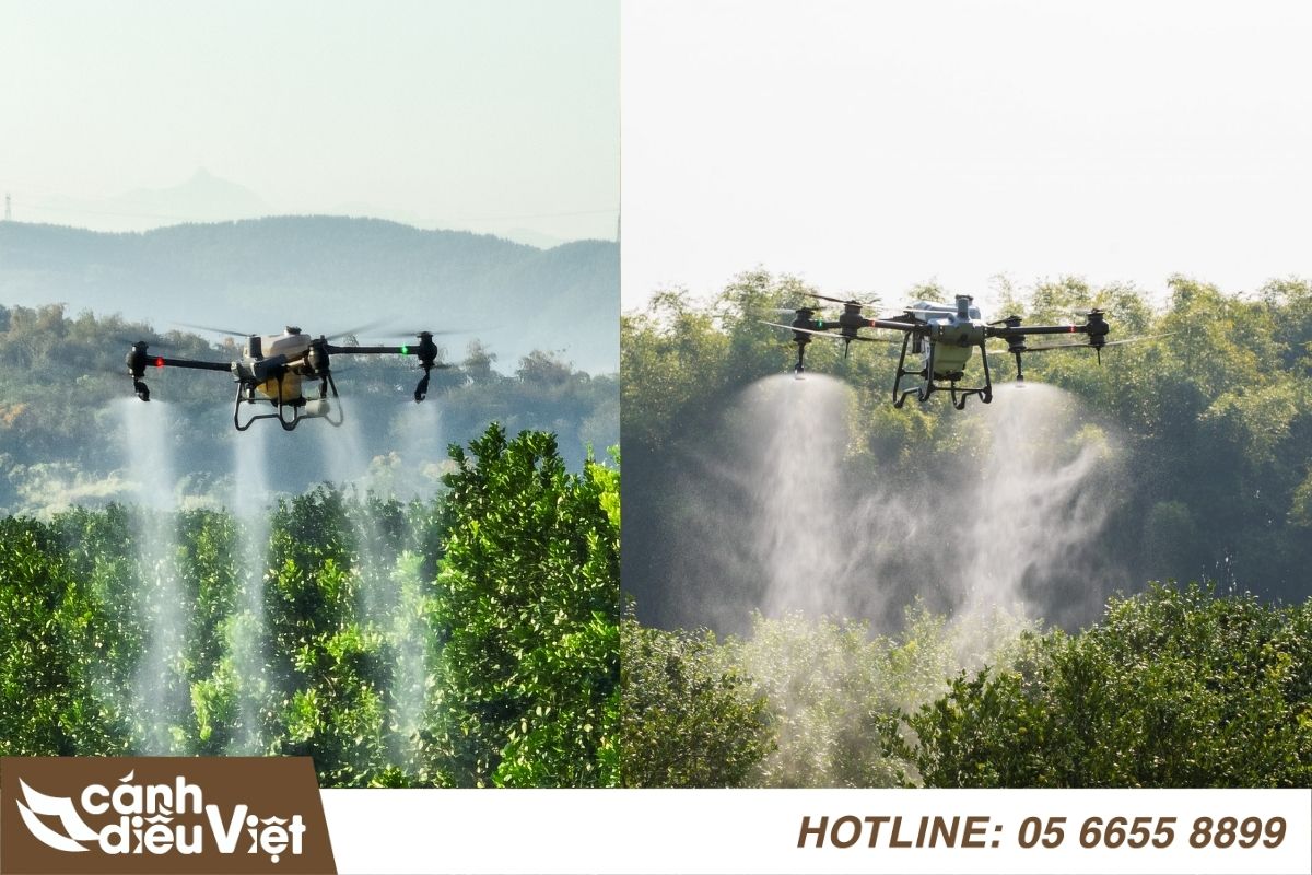 Điểm giống nhau giữa dji t50 và dji t40