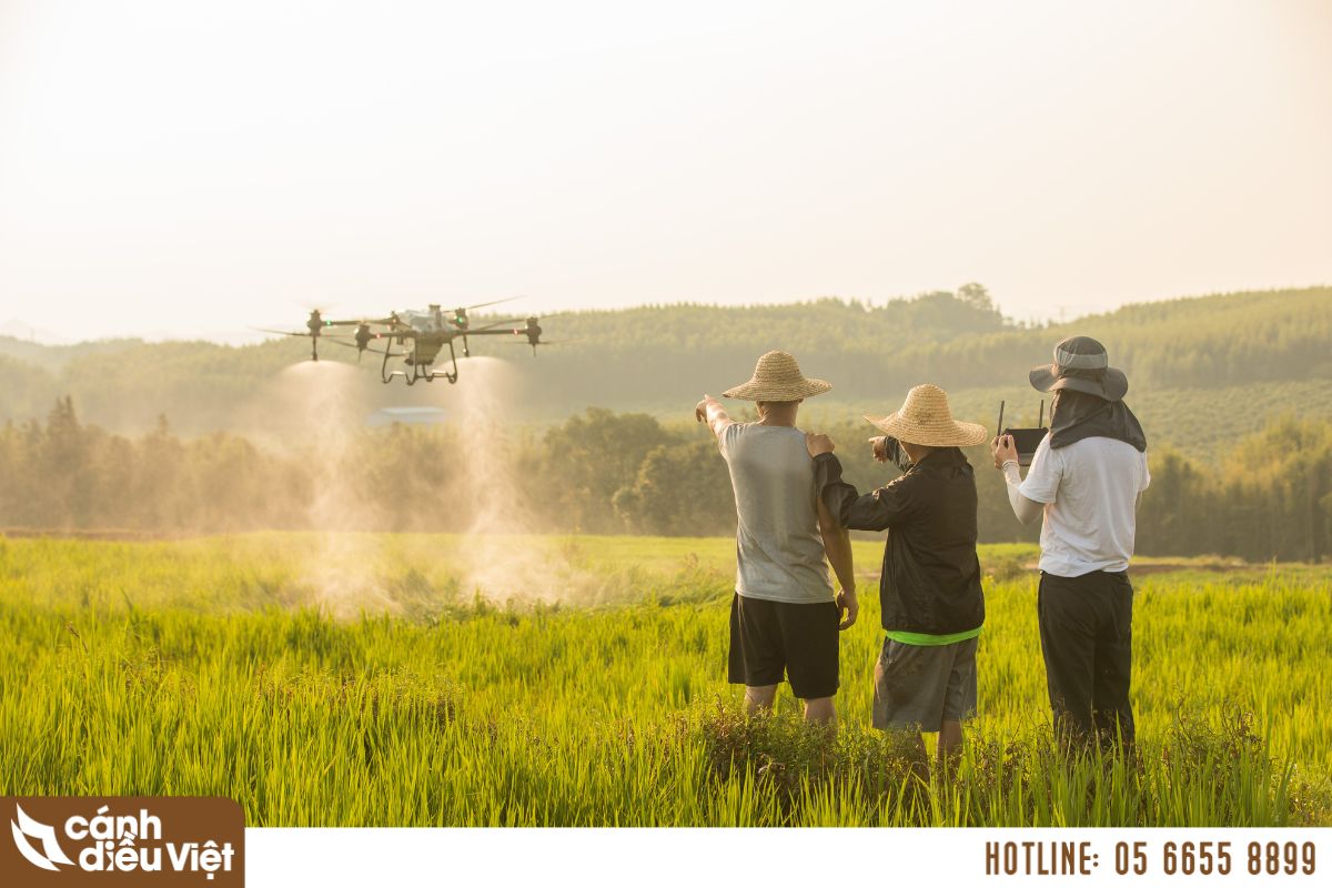 có nên mua máy bay phun thuốc cũ