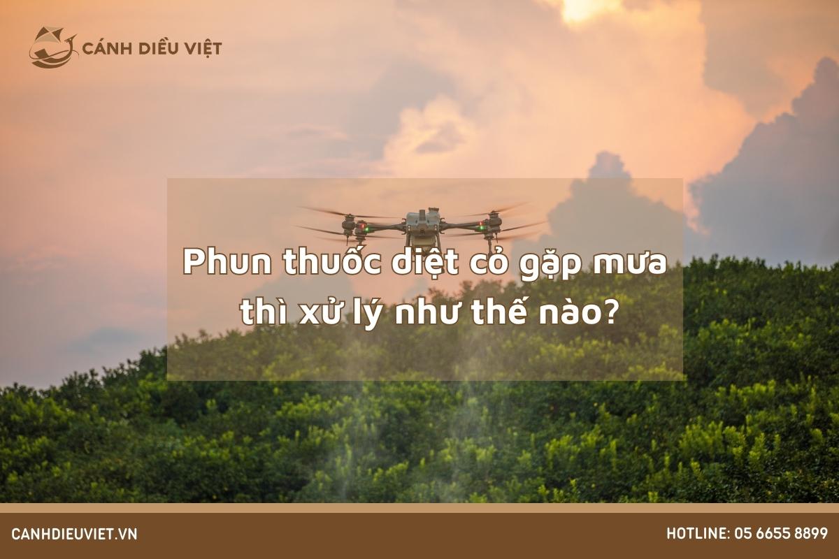 Phun thuốc diệt cỏ
