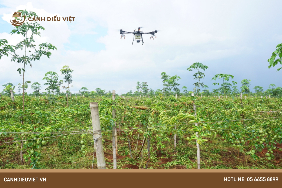 Máy bay phun thuốc phun chanh dây