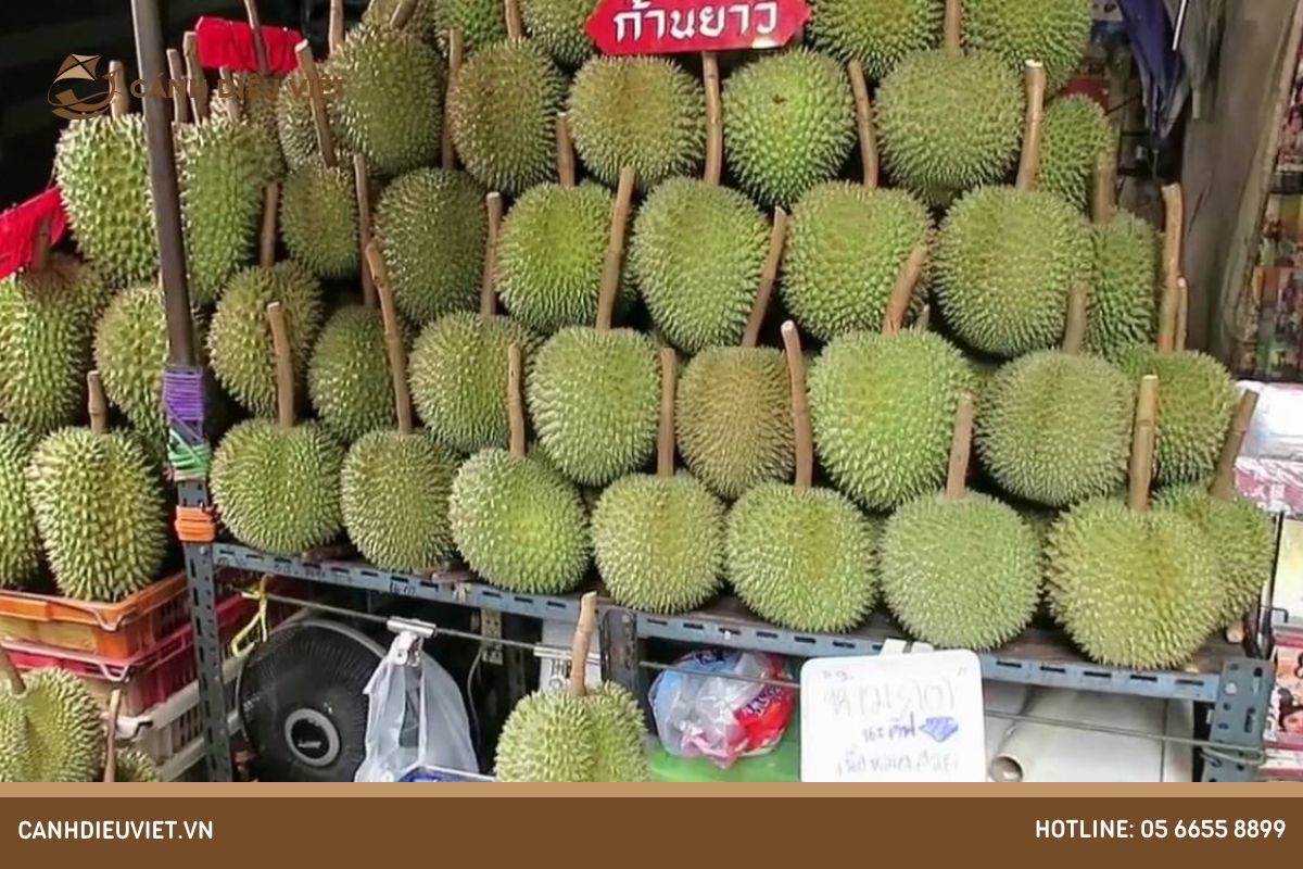 Cách chọn mua được sầu riêng Kanyao ngon