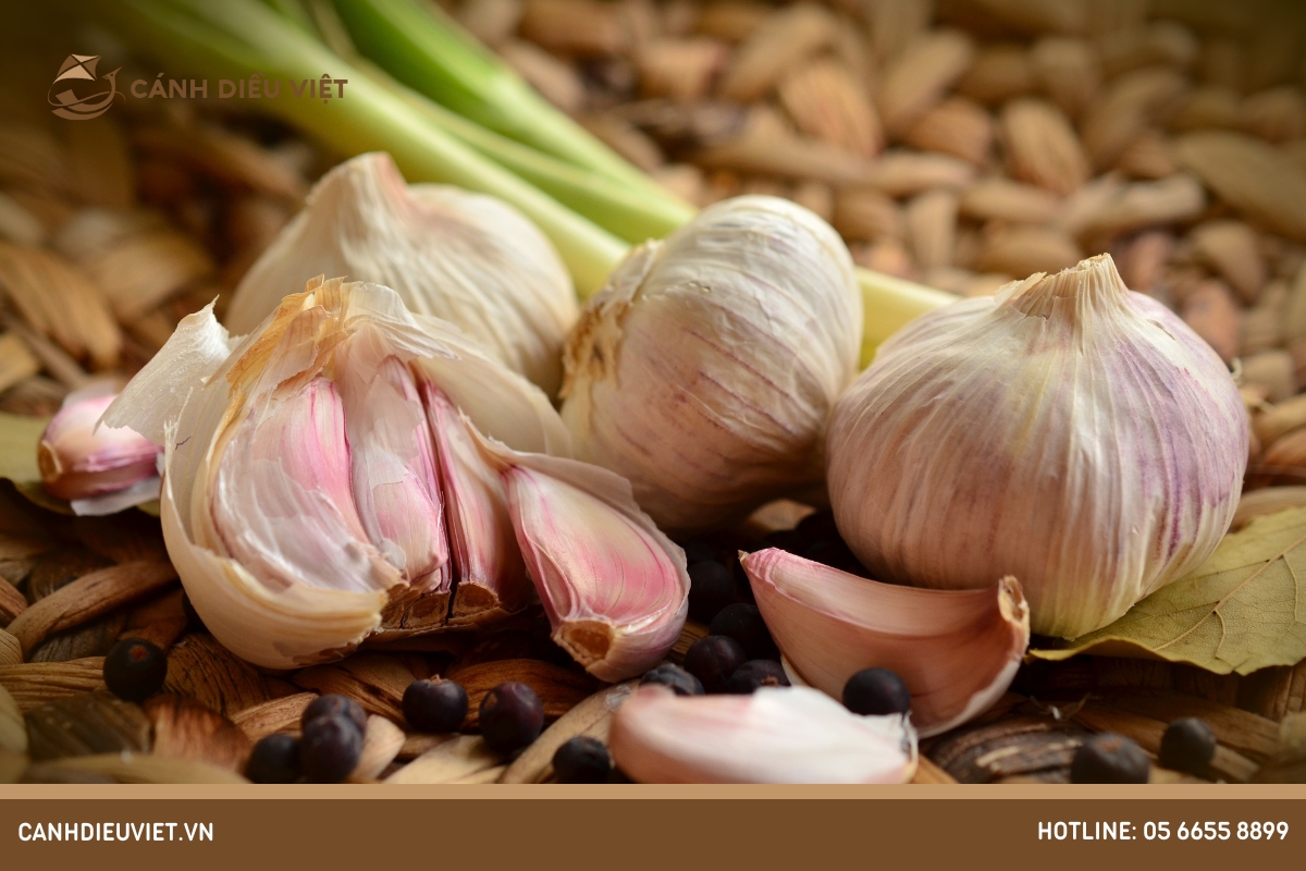 Cách chọn mua tỏi và bảo quản tỏi được lâu
