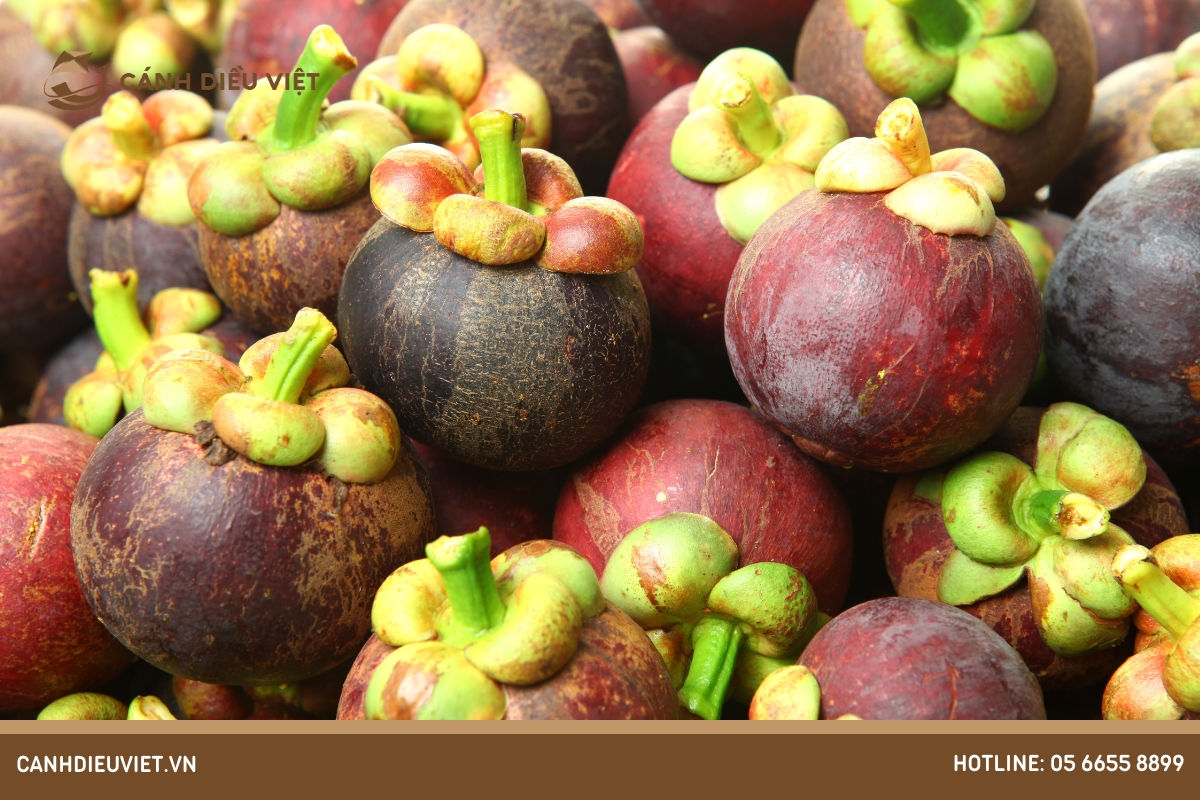 Cách mua quả măng cụt ngon