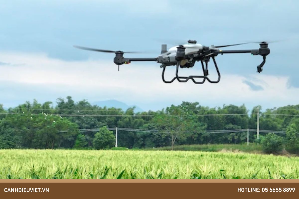 Nguyên nhân cây mít bị vàng lá và cách điều trị tận gốc 10 Cách phòng bệnh cây mít bị vàng lá rụng lá hiệu quả