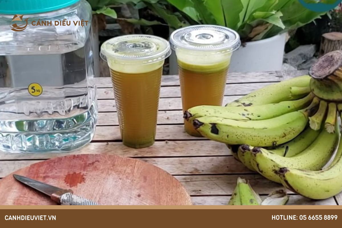 5 Cách ủ dịch chuối đơn giản tại nhà ai cũng làm được 7 Cách ủ dịch chuối với nước mía và chăm sóc cây chuối sứ