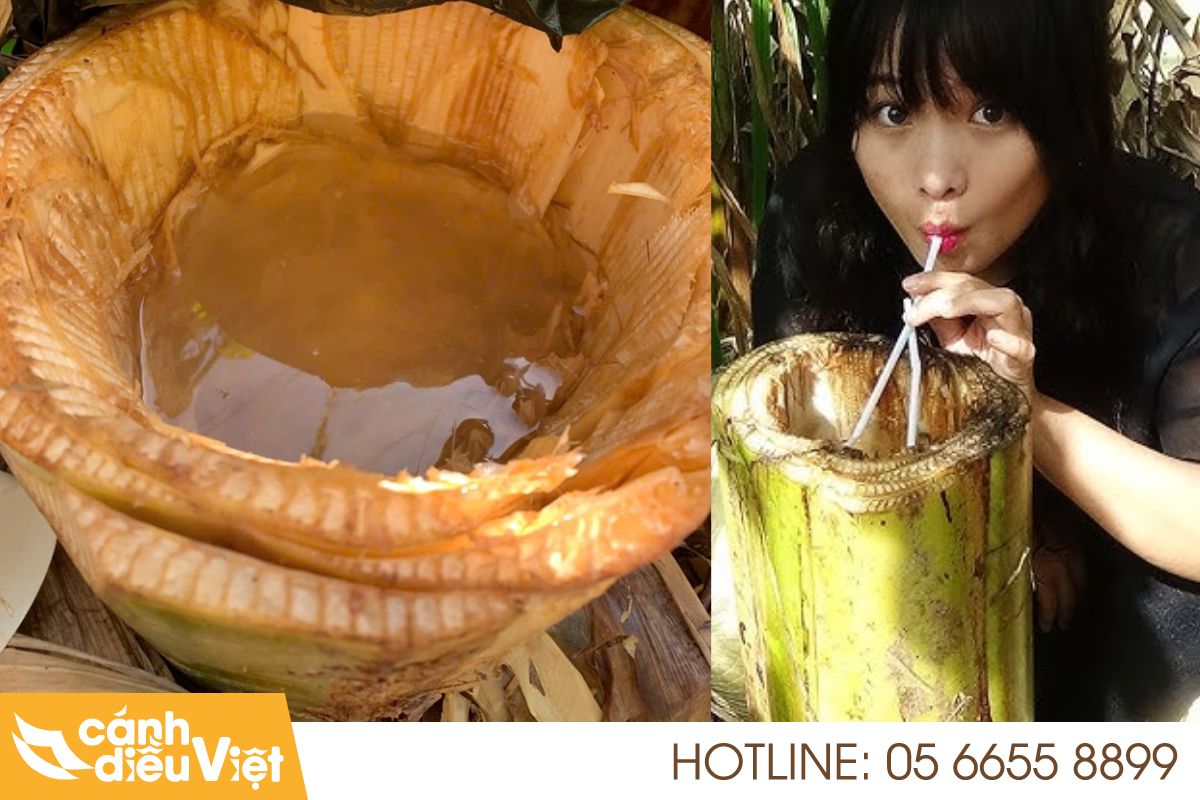 Cây Chuối Nước: Đặc điểm, cách trồng và chăm sóc hiệu quả 7 Cây chuối nước trị bệnh gì
