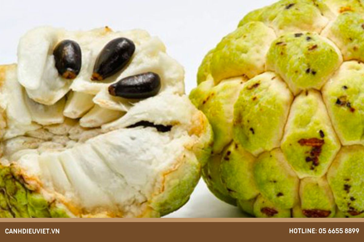 Chọn hạt na chất lượng