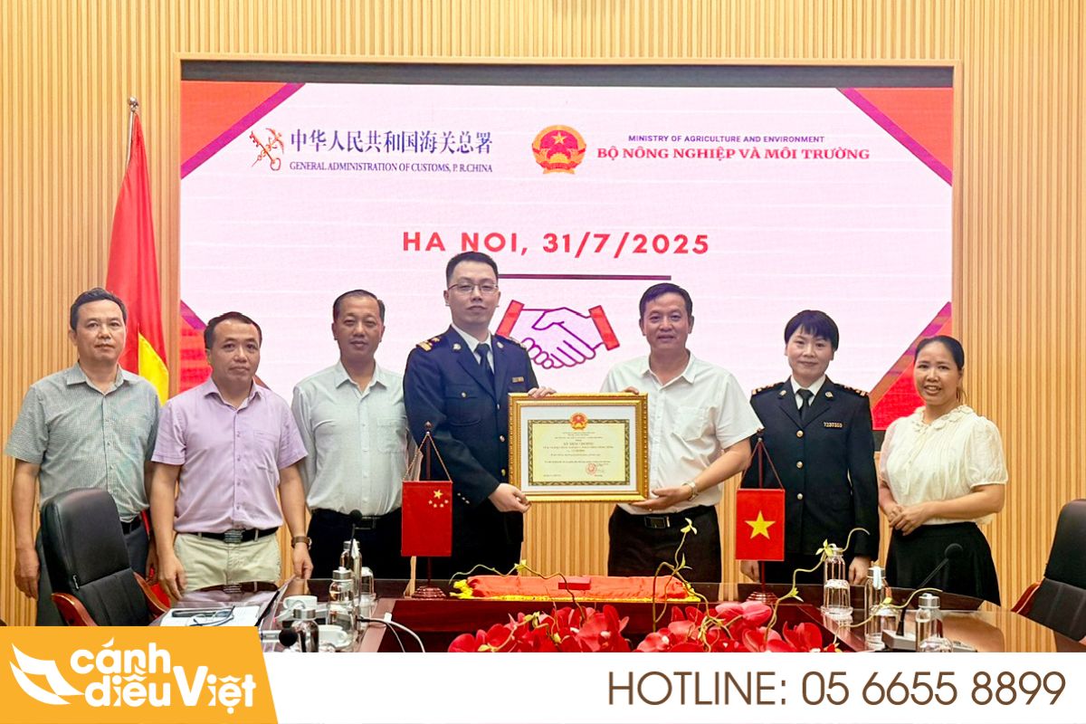 Quy định pháp luật về máy bay phun thuốc tại Việt Nam 6 Cơ sở pháp lý quản lý máy bay phun thuốc tại Việt Nam