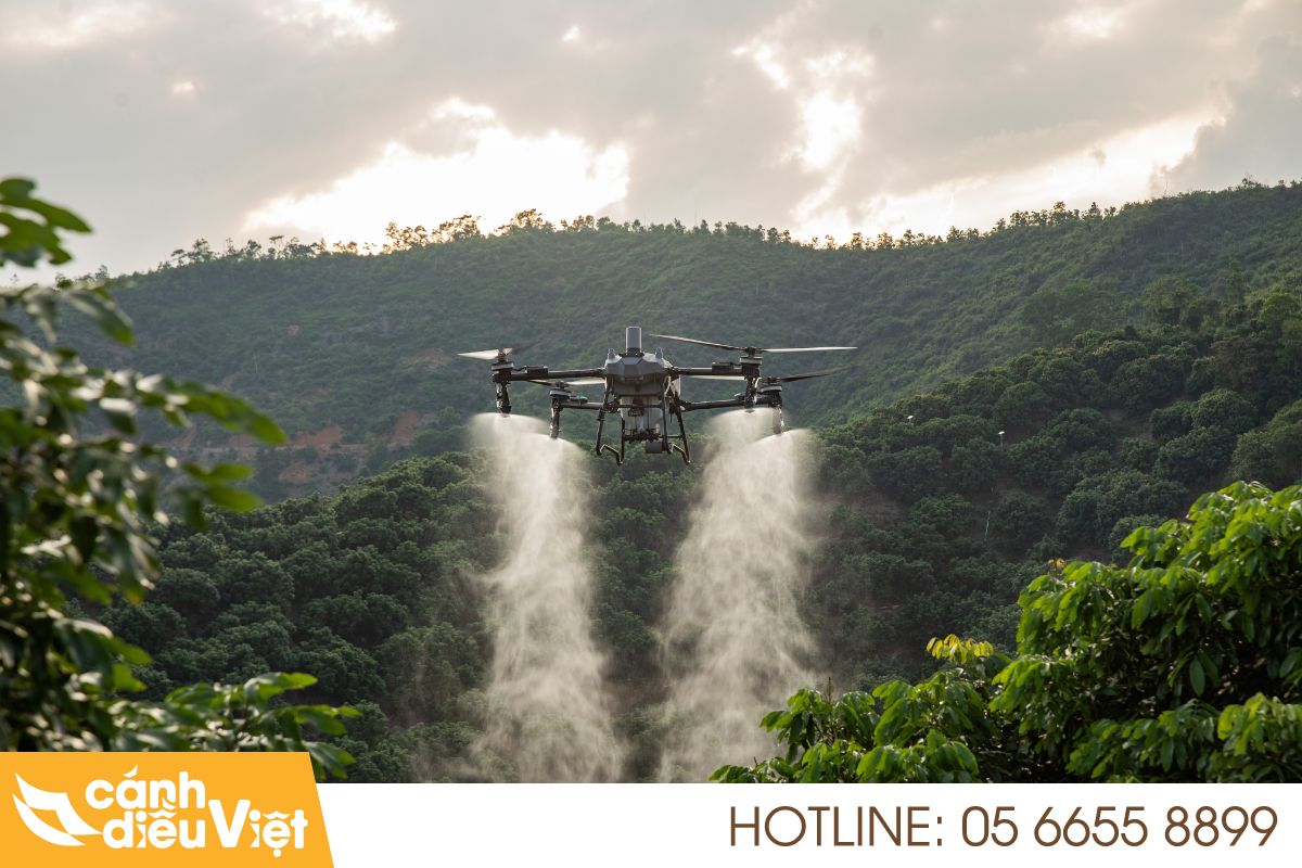 Máy bay DJI T70P phun thuốc cho cây ngô 5 Công nghệ phun ly tâm kép và hiệu quả trên cây ngô