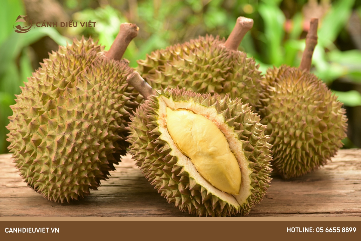 Mùa sầu riêng bắt đầu từ tháng mấy? Làm thế nào để nhận biết? 9 Đặc điểm giá sầu riêng theo mùa