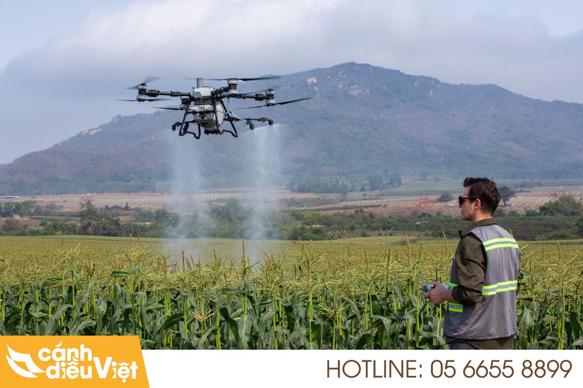 Giá máy bay phun thuốc DJI T100 238 Giá máy bay phun thuốc dji agras t100