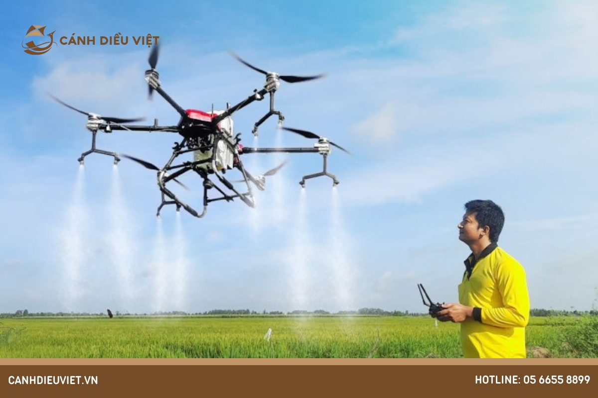 Lúa lai là gì? Tìm hiểu ưu & nhược điểm của kỹ thuật này 8 Giải pháp chống sâu bệnh hại cho lúa