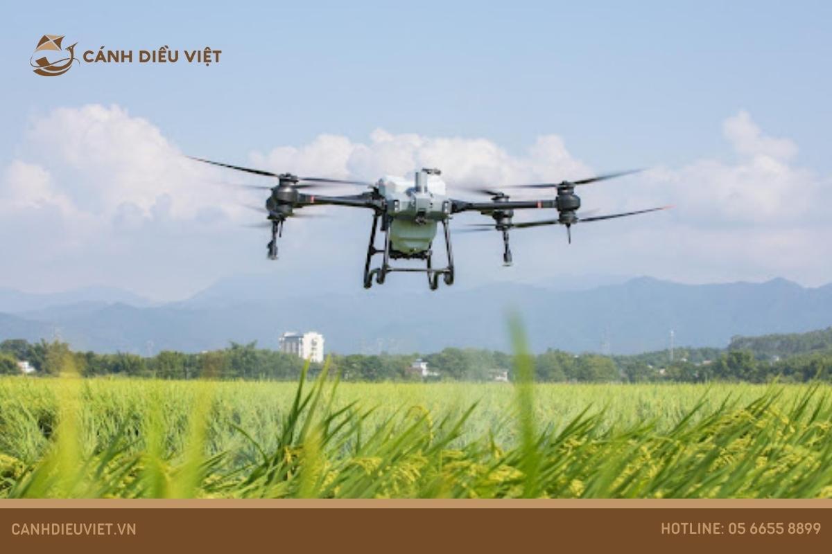 Giống lúa Thiên Châu 16: Kỹ thuật gieo trồng & đặc điểm 14 Giải pháp phòng trừ sâu bệnh cho giống lúa Thiên Châu 16