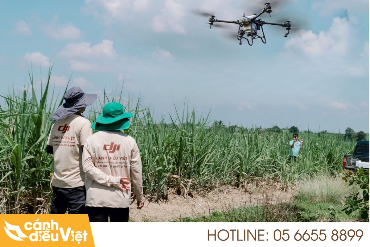 Máy Bay Phun Thuốc Cho Mía Giảm Chi Phí, X2 Năng Suất 6 Hướng dẫn vận hành drone chăm sóc đồng mía