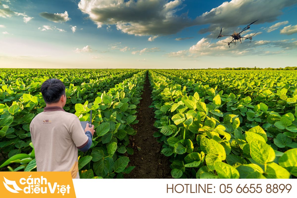 Máy Bay Phun Thuốc Cho Rau Màu Giảm Chi Phí, X2 Năng Suất 6 Hướng dẫn vận hành drone chăm sóc đồng rau màu