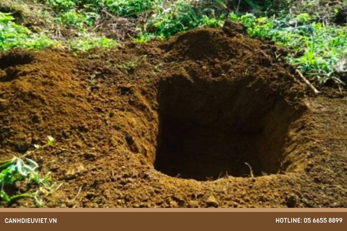 Làm đất và đào hố