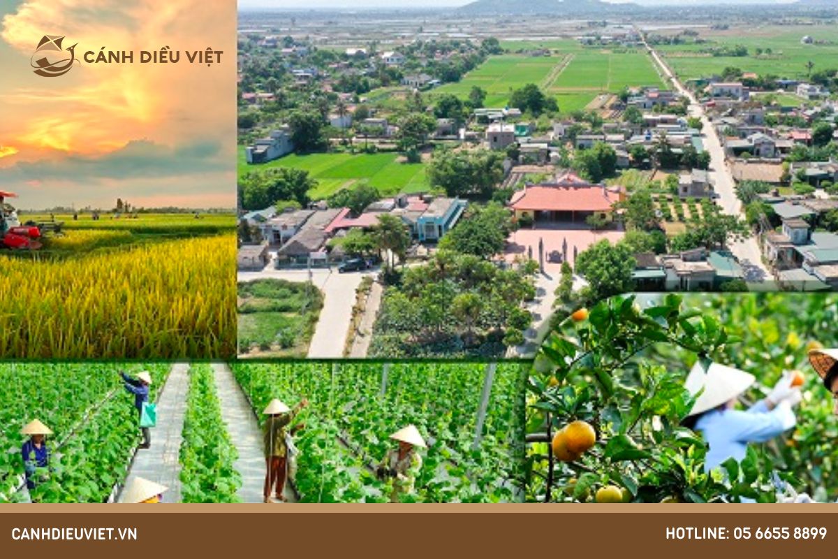 Liên kết 4 nhà trong nông nghiệp là gì? Vai trò của các nhà trong nông nghiệp là gì? 672 Liên kết 4 nhà trong sản xuất nông nghiệp là gì_ Vai trò của các nhà trong nông nghiệp là gì