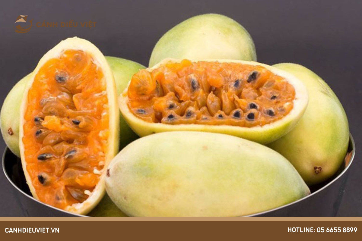 Loại nào cho năng suất và hiệu quả kinh tế cao hơn