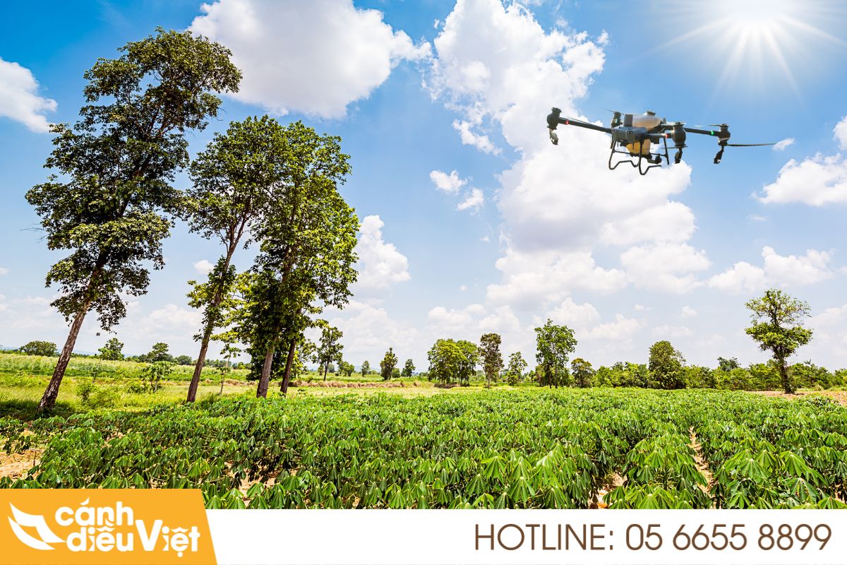Ứng dụng máy bay phun thuốc cho cây sắn x2 năng suất 5 Lợi ích cụ thể khi ứng dụng drone cho cây sắn