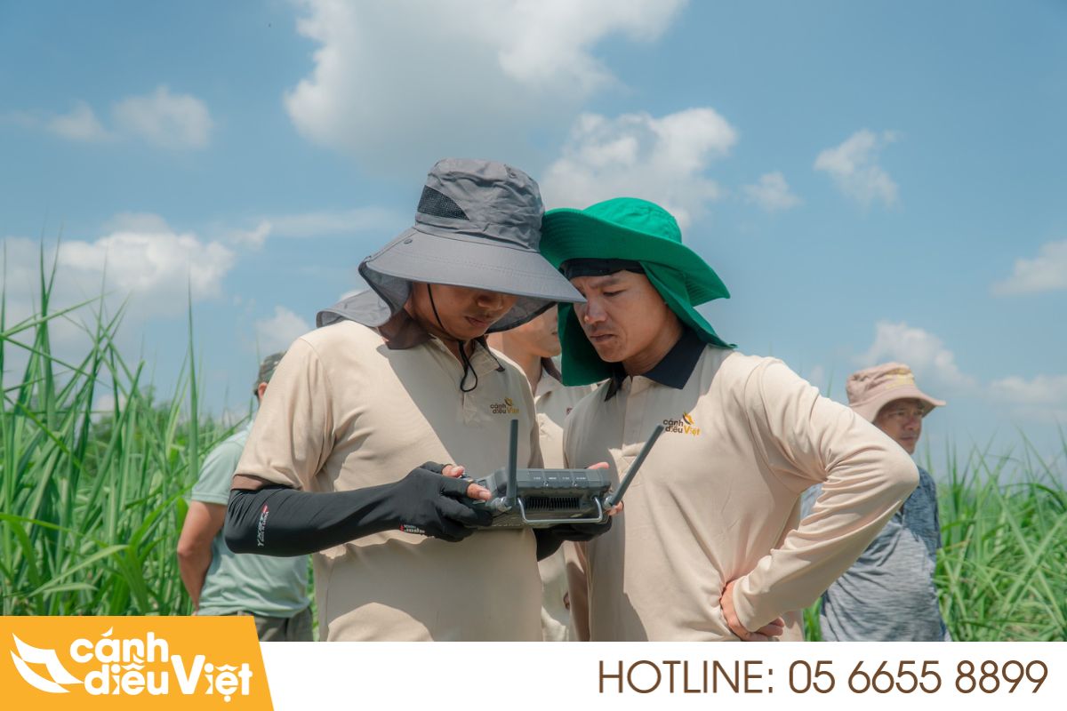 Lợi ích vượt trội của máy bay phun thuốc cho dưa leo