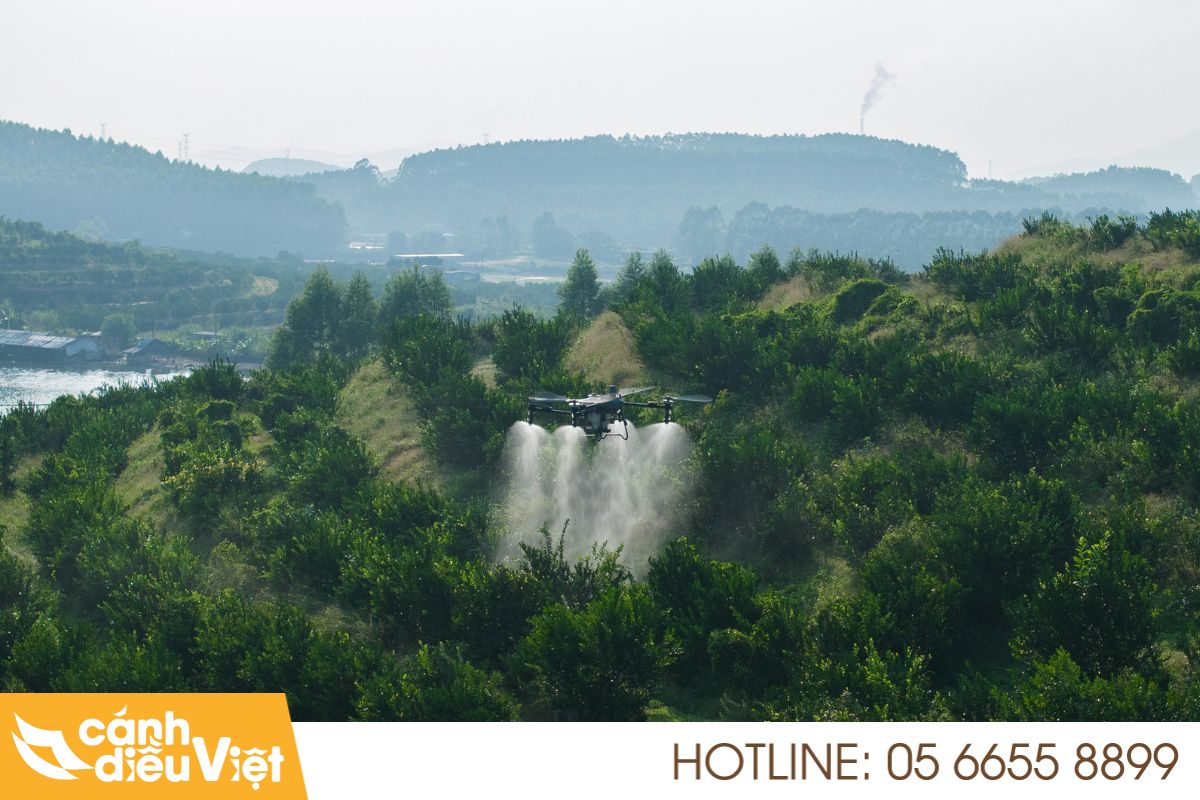 Sử dụng máy bay phun thuốc để rửa vườn nhanh gọn 5 Lợi ích vượt trội khi dùng máy bay phun thuốc để rửa vườn
