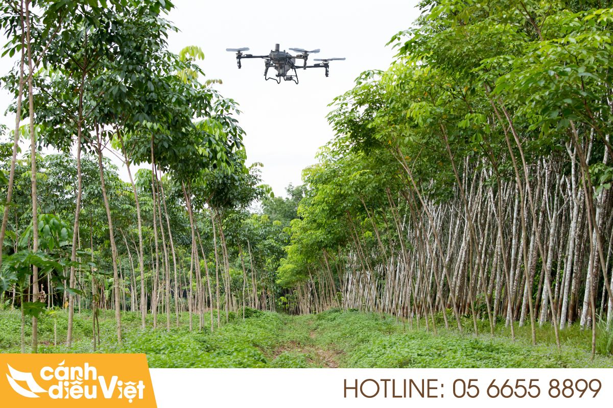 Ứng dụng Máy bay DJI T70P phun thuốc cho cây cao su 4 Máy bay dji t70p phun thuốc cho cây cao su vì sao phù hợp