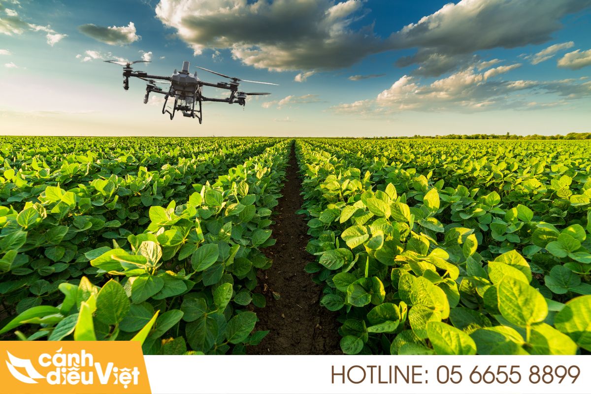 Máy bay DJI T70P phun thuốc cho cây đậu tương  12 Máy bay dji t70p phun thuốc cho cây đậu tương