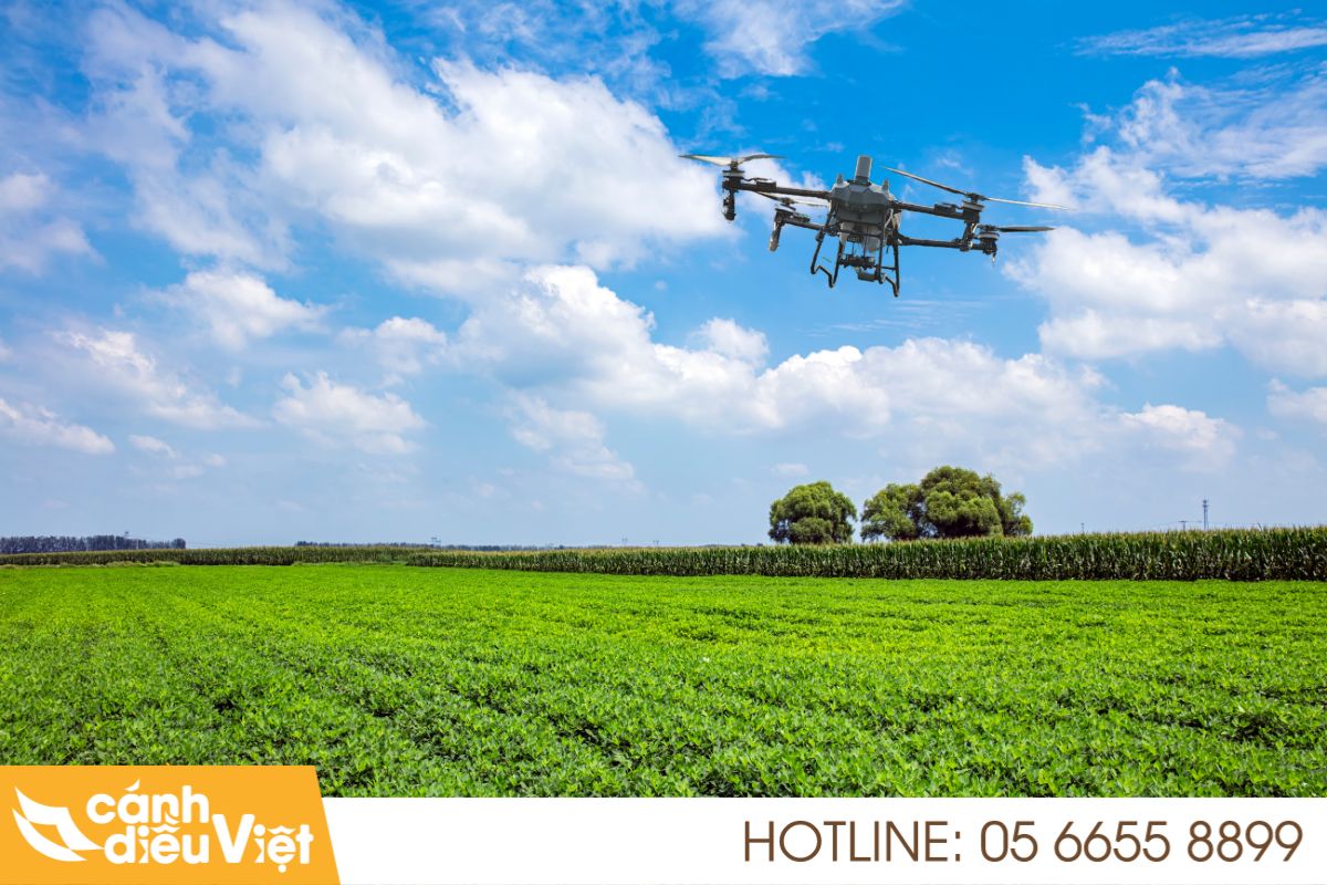 Máy bay DJI T70P phun thuốc cho cây lạc   18 Máy bay dji t70p phun thuốc cho cây lạc