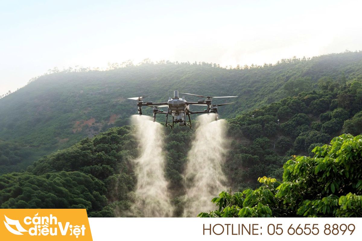 Máy bay DJI T70P phun thuốc cho cây sầu riêng 176 May bay dji t70p phun thuoc cho cay sau rieng