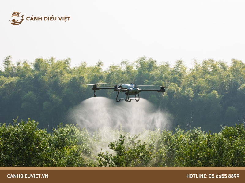 Máy bay nông nghiệp DJI T20P