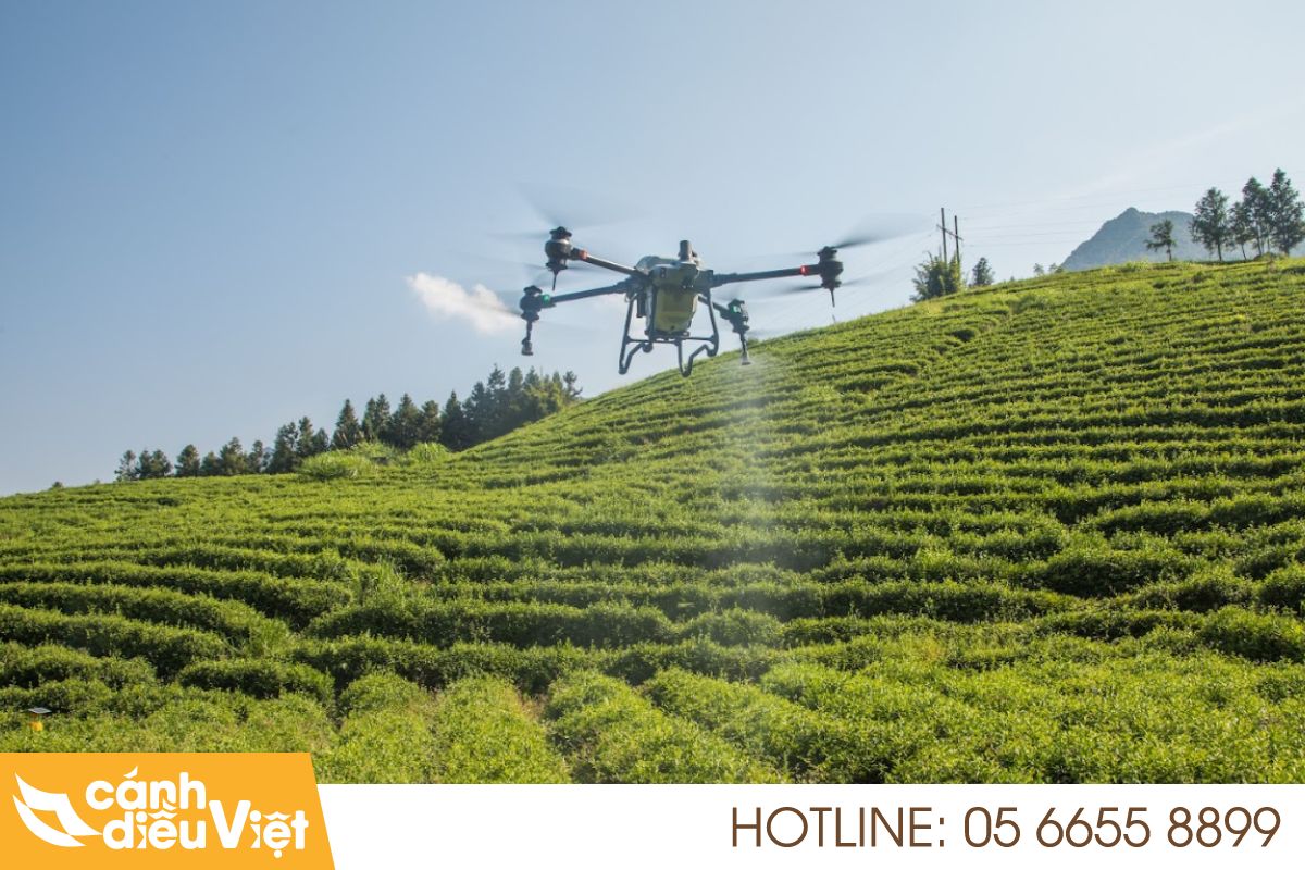 Máy Bay Phun Thuốc Bắc Kạn: X2 Năng Suất Cho Cây Trồng 698 Máy bay phun thuốc Bắc Kạn