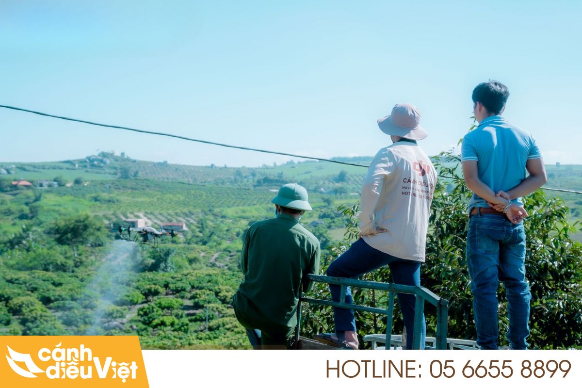 Máy bay phun thuốc Lạng Sơn: Giúp Tăng x2 Năng Suất 702 Máy bay phun thuốc Lạng Sơn