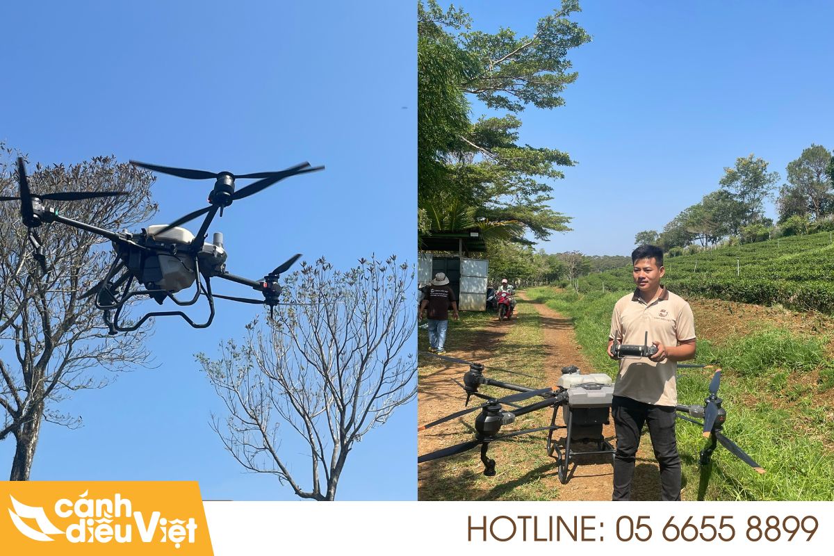Trình Diễn Phun Thực Tế Máy Bay Nông Nghiệp Trên Đồi Chè Lâm Đồng 13 Máy bay phun thuốc cho đồi chè lâm đồng