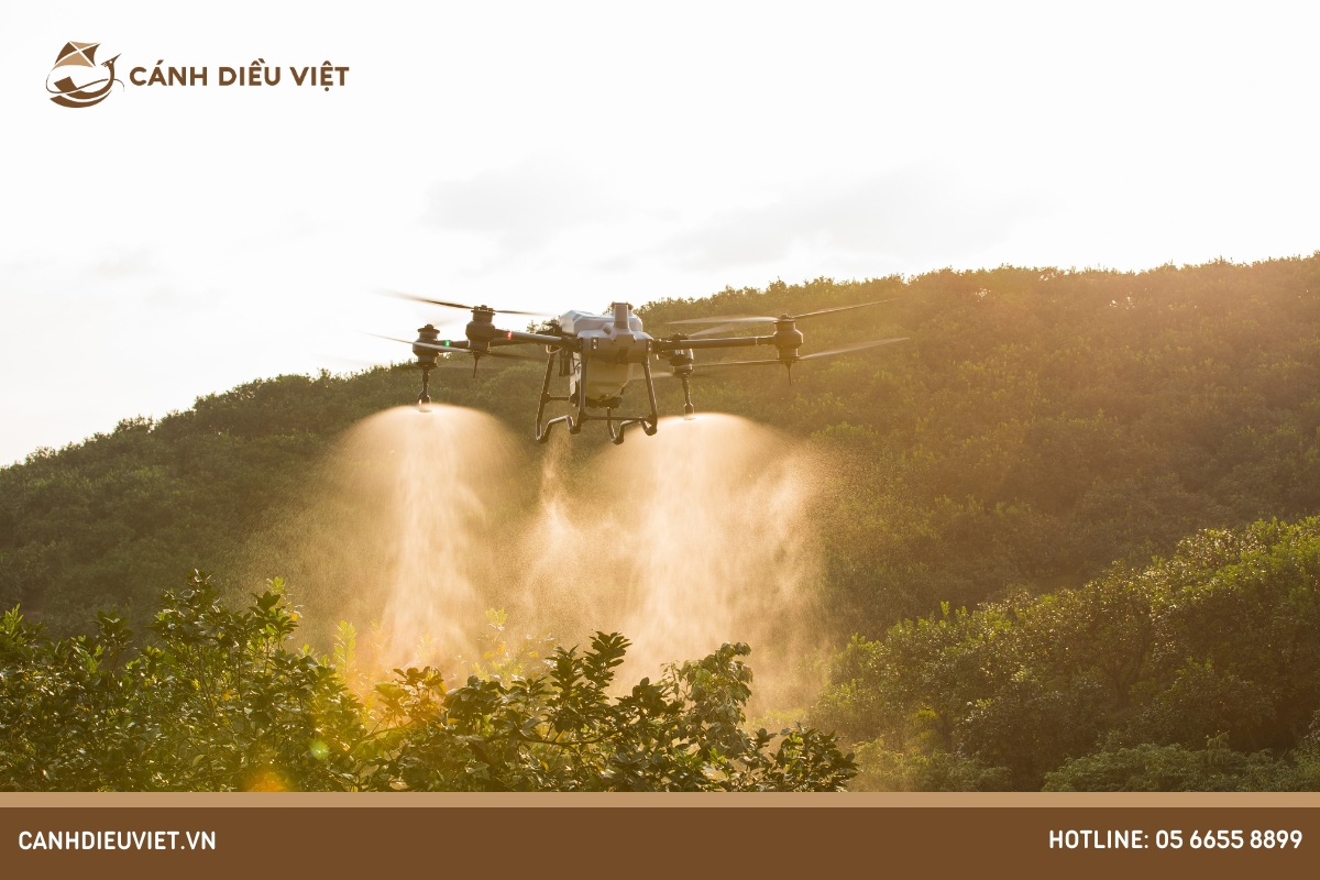 Cập nhật giá sầu riêng khổ qua hôm nay 8 Máy bay phun thuốc giá bao nhiêu