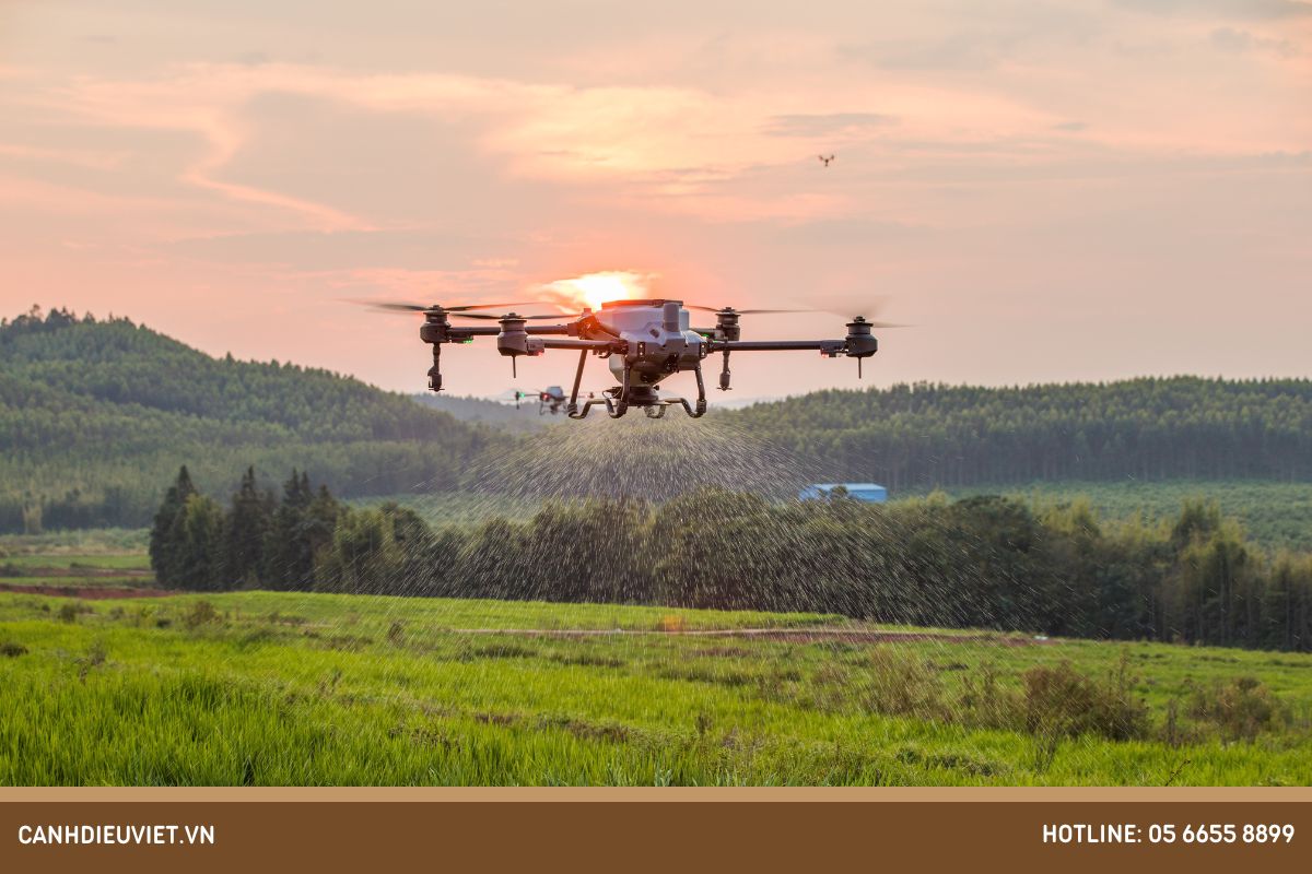 Phòng ngừa sâu bệnh hại xoài bằng máy bay nông nghiệp