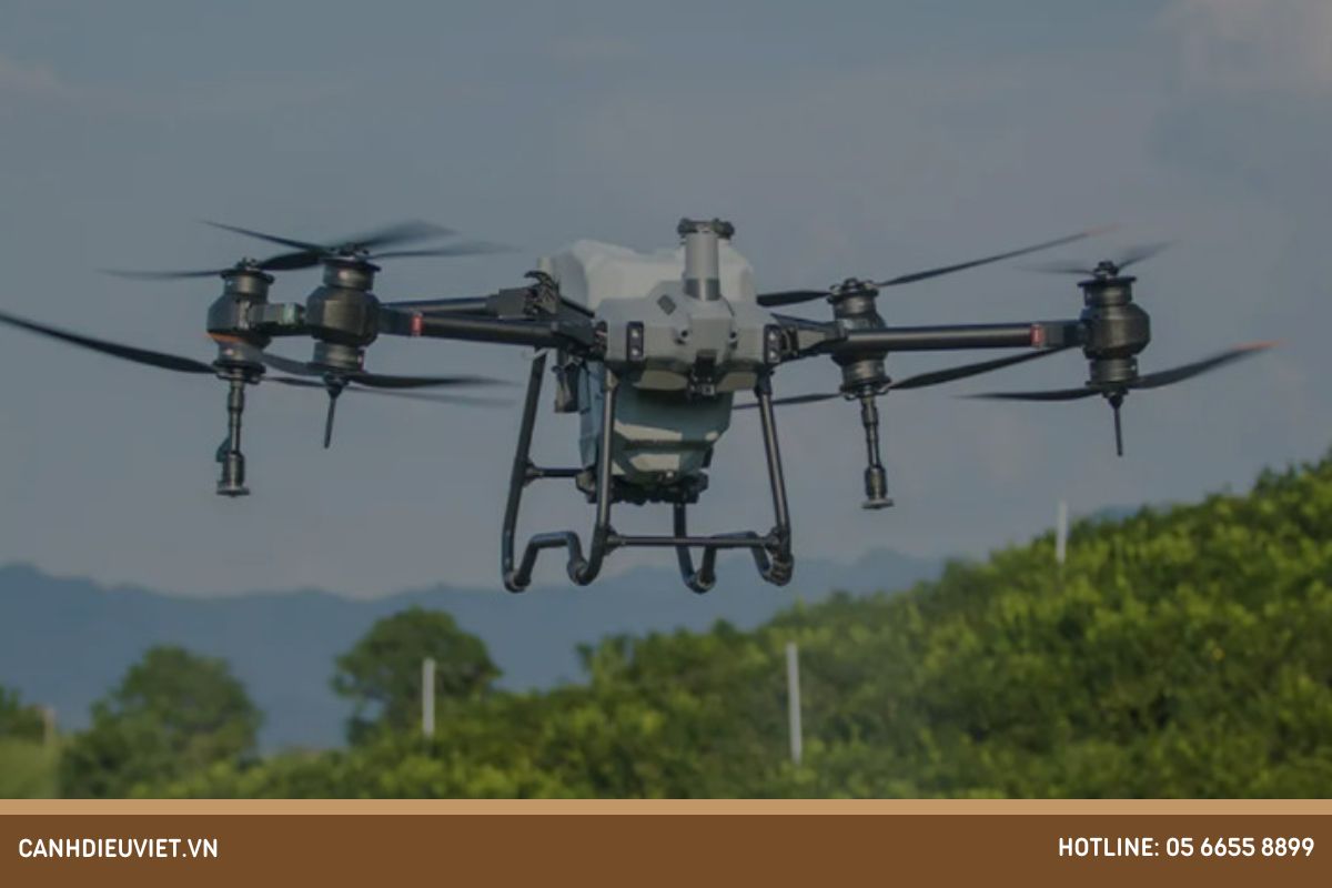 Phòng trừ sâu bệnh cho đu đủ ruột vàng bằng máy bay phun thuốc trừ sâu