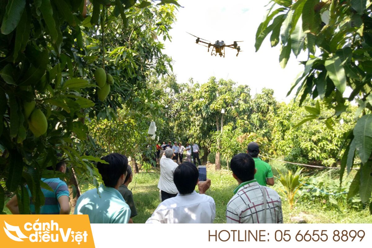 phương pháp phun thuốc trừ sâu cho cây xoài 8 Phun thuốc bằng máy bay nông nghiệp (Drone)
