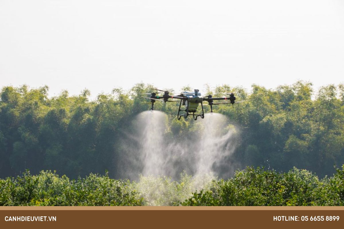 Giải pháp phòng trừ bệnh thối trái trên mít đơn giản, hiệu quả 6 Phun thuốc trị bệnh thối trái trên mít bằng máy bay nông nghiệp