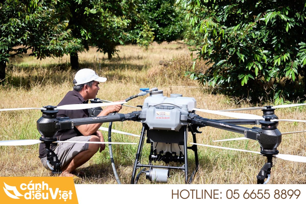 Quy trình phòng tuyến trùng bằng drone